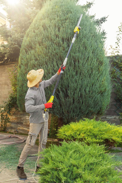 Best Local Tree Services  in Maltby, WA